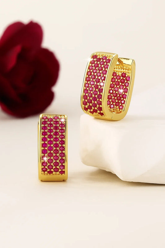 Sparkling Embrace Hoop Earrings