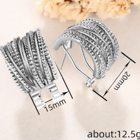 Criss Cross Hoop Earrings in Silver Tone